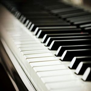 国产精品无码永久免费88
