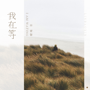 国产精品无码永久免费88
