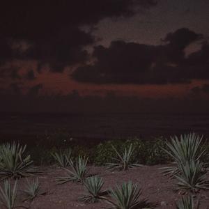 国产精品无码永久免费88
